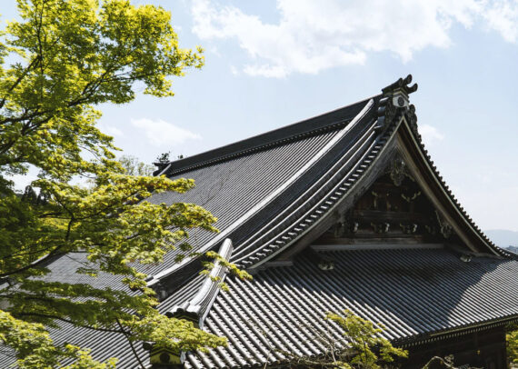 Stylish roofing company