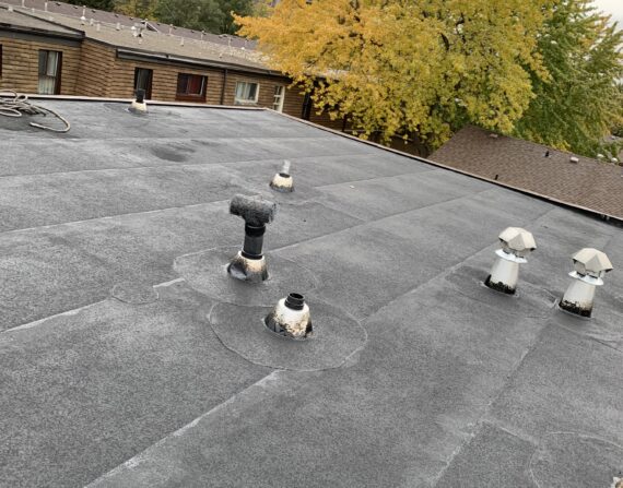 Roof Replacement